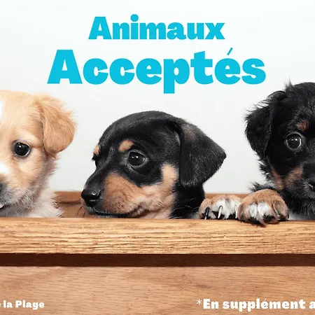 Pavillon 3*** A 5 Min Des Plages, Animaux Admis - Fr-1-323-368